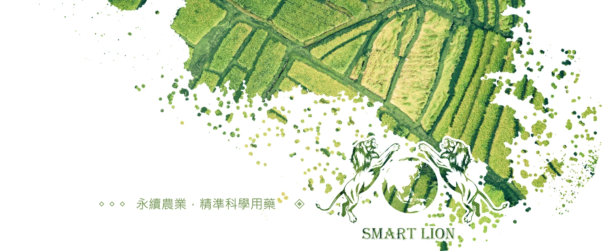 台灣百獅股份有限公司