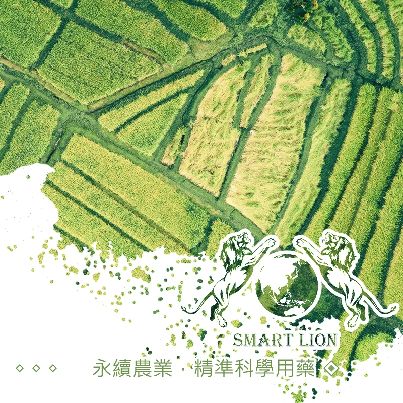 台灣百獅股份有限公司